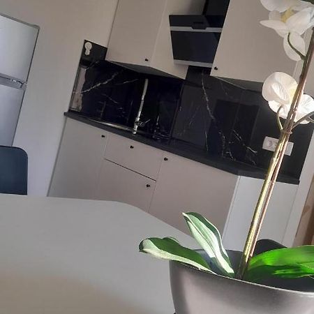 קופר Apartma Ana מראה חיצוני תמונה