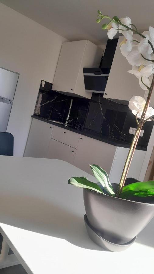 קופר Apartma Ana מראה חיצוני תמונה